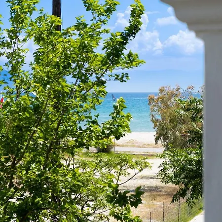 Iole Πόντι